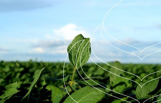 Cema - Agricultura Biológica - Banner 1 Title