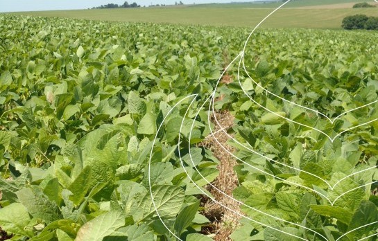 Cema - Agricultura Biológica - Banner 1 Title